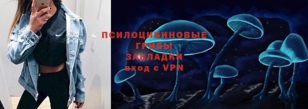 твердый Касимов