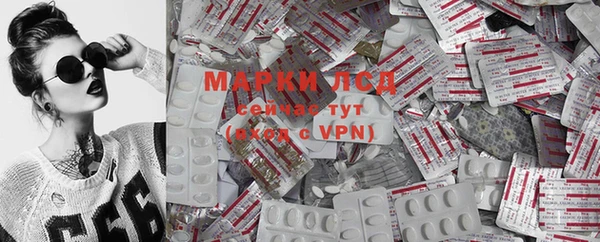 jwh Карпинск