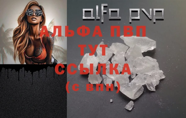 jwh Карпинск