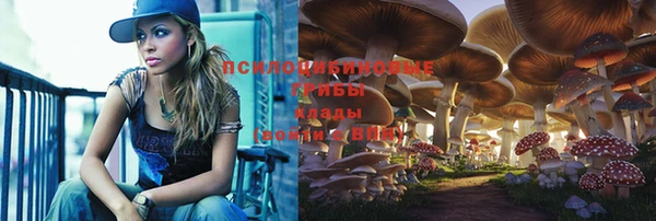 jwh Карпинск