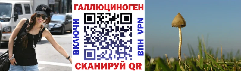 Купить где  Лахденпохья  Псилоцибиновые грибы Psilocybine cubensis 